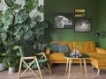 Zielony kącik z kwiatami w salonie. Monstera i inne rośliny tworzą bujną dżunglę obok musztardowej kanapy i fotela.