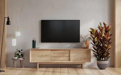 Nowoczesny salon z telewizorem na ścianie. Obok stoi drewniana szafka RTV, a na niej ozdobna roślina. W tle widać fragment ściany z fakturą przypominającą cegłę.