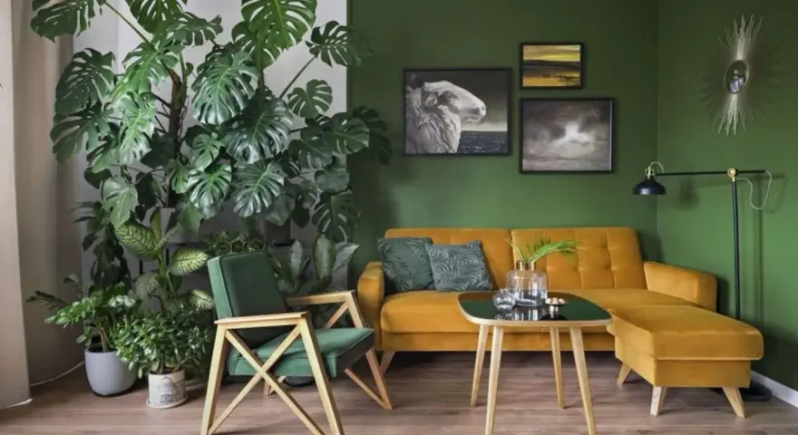 Zielony kącik z kwiatami w salonie. Monstera i inne rośliny tworzą bujną dżunglę obok musztardowej kanapy i fotela.