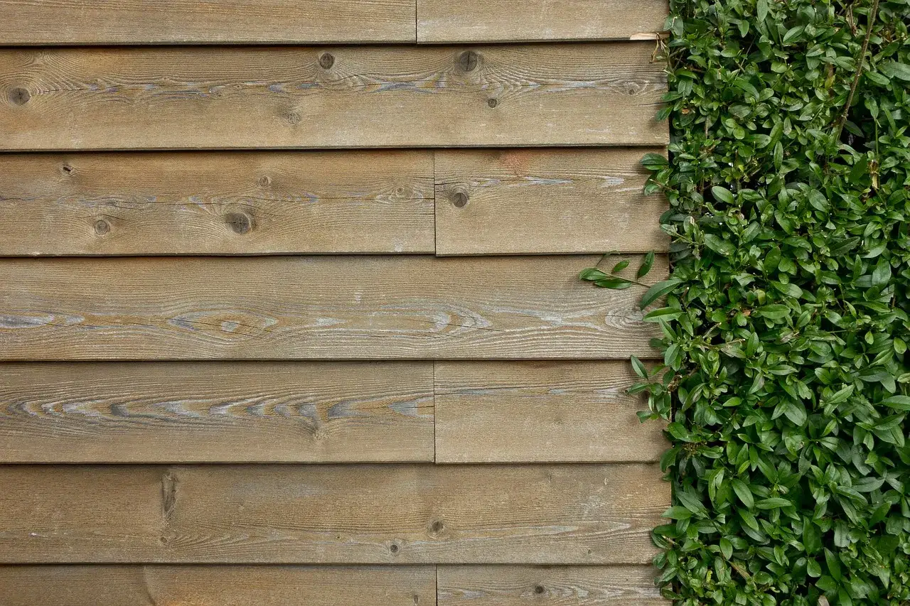 Deska drewniana z widocznym usłojeniem, obok zielony bluszcz. Jak rozjaśnić drewno? Naturalne materiały.